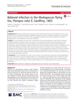 Babesial Infection in the Madagascan Flying Fox, Pteropus Rufus É