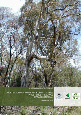 Mount Panorama, Knott Hill and Christmas Hill Native Forest Reserves Management Plan, Forestrysa, South Australia