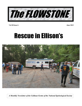 The FLOWSTONE