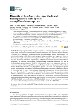 Diversity Within Aspergillus Niger Clade and Description of a New Species: Aspergillus Vinaceus Sp