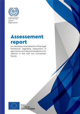 Assessement Report