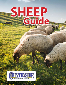 Countryside Sheep Guide
