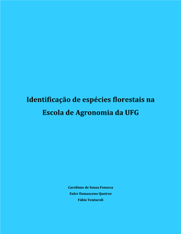 Identificação De Espécies Florestais Na Escola De Agronomia Da UFG