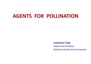 Agents for Pollination by Durgeshwer Singh