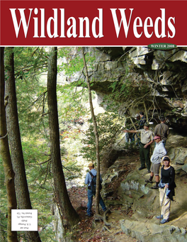 Wildland Weedswinter 2008