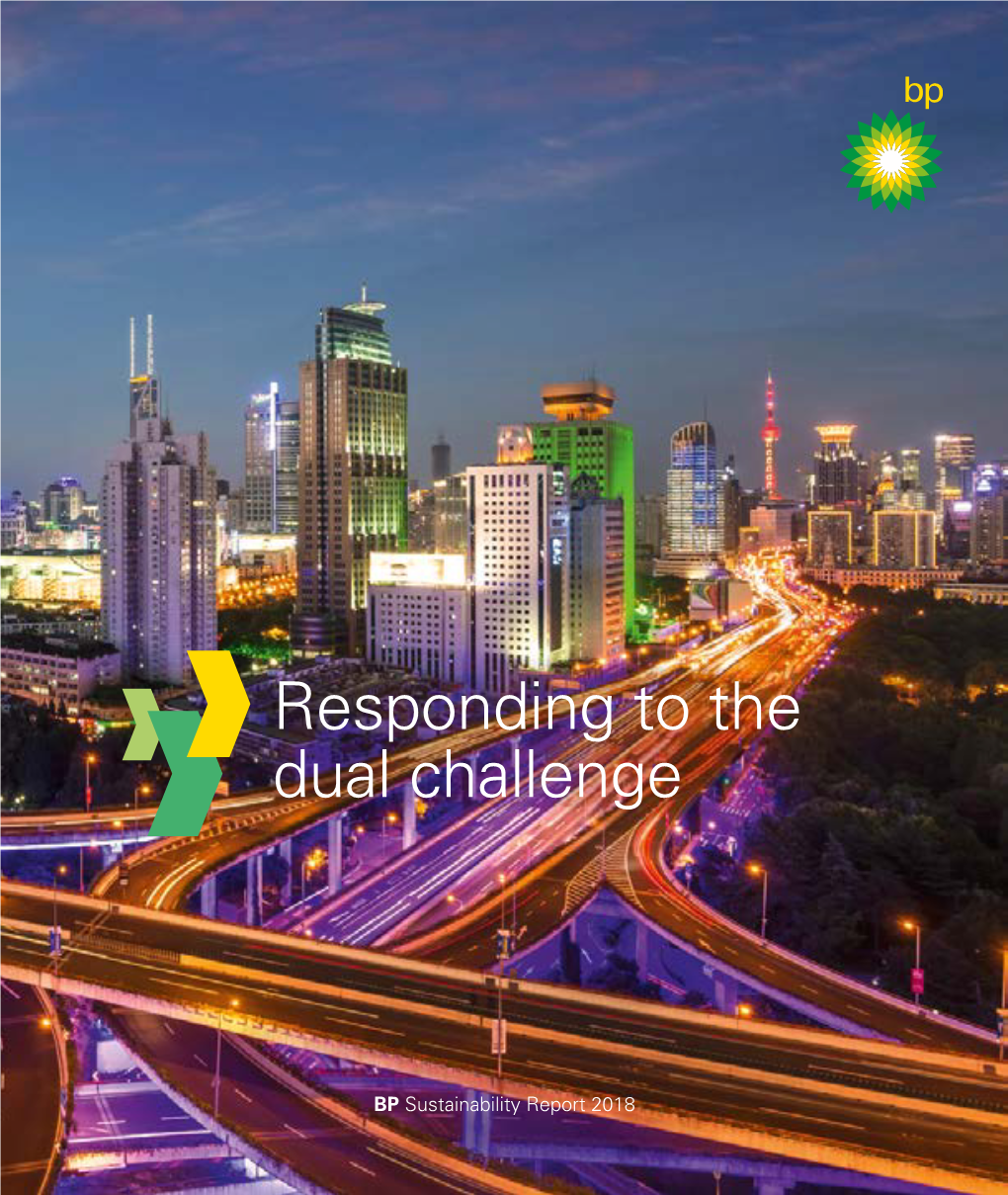 BP Sustainability Report 2018