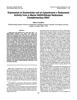 Expression in Escherichia Coli of Cytochrome C Reductase Activity from a Maize NADH:Nitrate Reductase Complementary DNA'