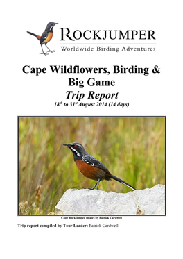 Cape Wildflowers, Birding & Big Game Trip Report