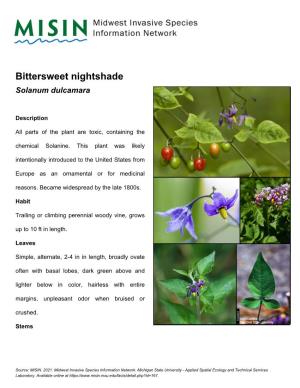 Bittersweet Nightshade Solanum Dulcamara