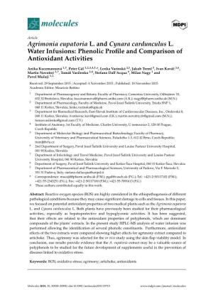 Agrimonia Eupatoria L. and Cynara Cardunculus L. Water Infusions: Phenolic Proﬁle and Comparison of Antioxidant Activities