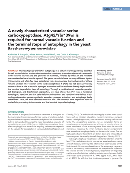 A Newly Characterized Vacuolar Serine Carboxypeptidase, Atg42/Ybr139w