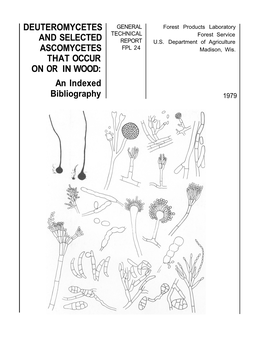 DEUTEROMYCETES and SELECTED ASCOMYCETES THAT OCCUR on OR in WOOD: an Indexed Bibliography