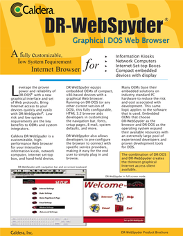 DR-Webspyder R Graphicaldos Web Browser