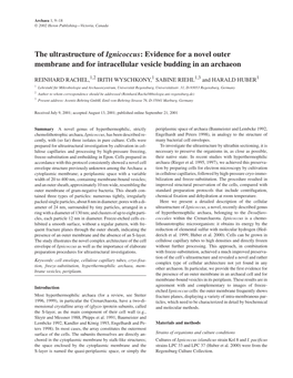 The Ultrastructure of Ignicoccus: Evidence for a Novel Outer Membrane and for Intracellular Vesicle Budding in an Archaeon