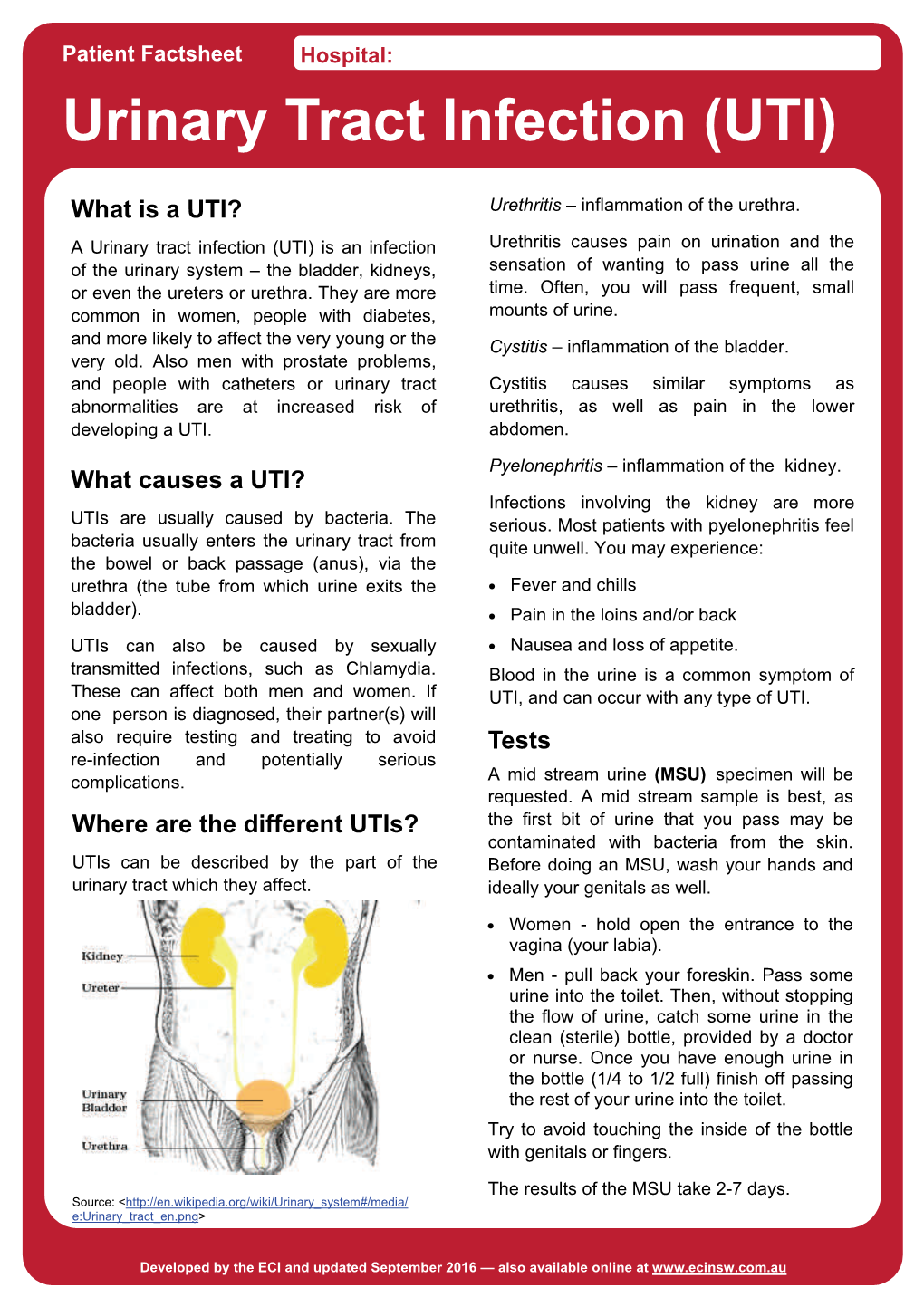 Urinary Tract Infection (UTI)