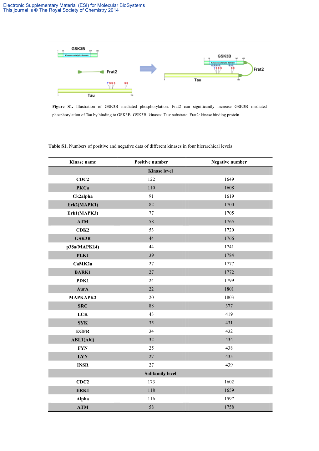 Table S1. Numbers of Positive and Negative Data of Different Kinases in Four Hierarchical Levels