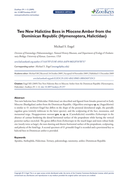 Two New Halictine Bees in Miocene Amber from the Dominican Republic (Hymenoptera, Halictidae)