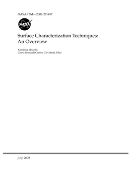 Surface Characterization Techniques: an Overview