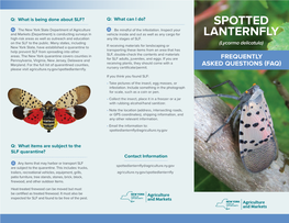 Spotted Lanternfly (SLF)? Q: Where Would I Find SLF?
