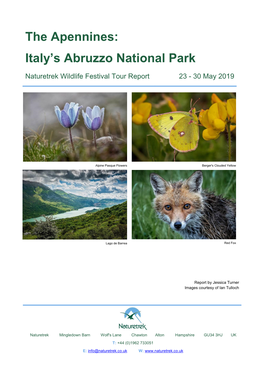 Italy's Abruzzo National Park