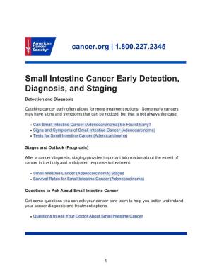 Small Intestine Cancer Early Detection, Diagnosis, and Staging Detection and Diagnosis