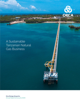 A Sustainable Tanzanian Natural Gas Business