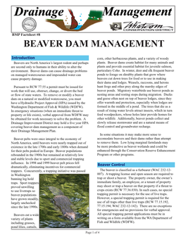 Beaver Dam Management