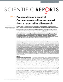 Preservation of Ancestral Cretaceous Microflora Recovered from A