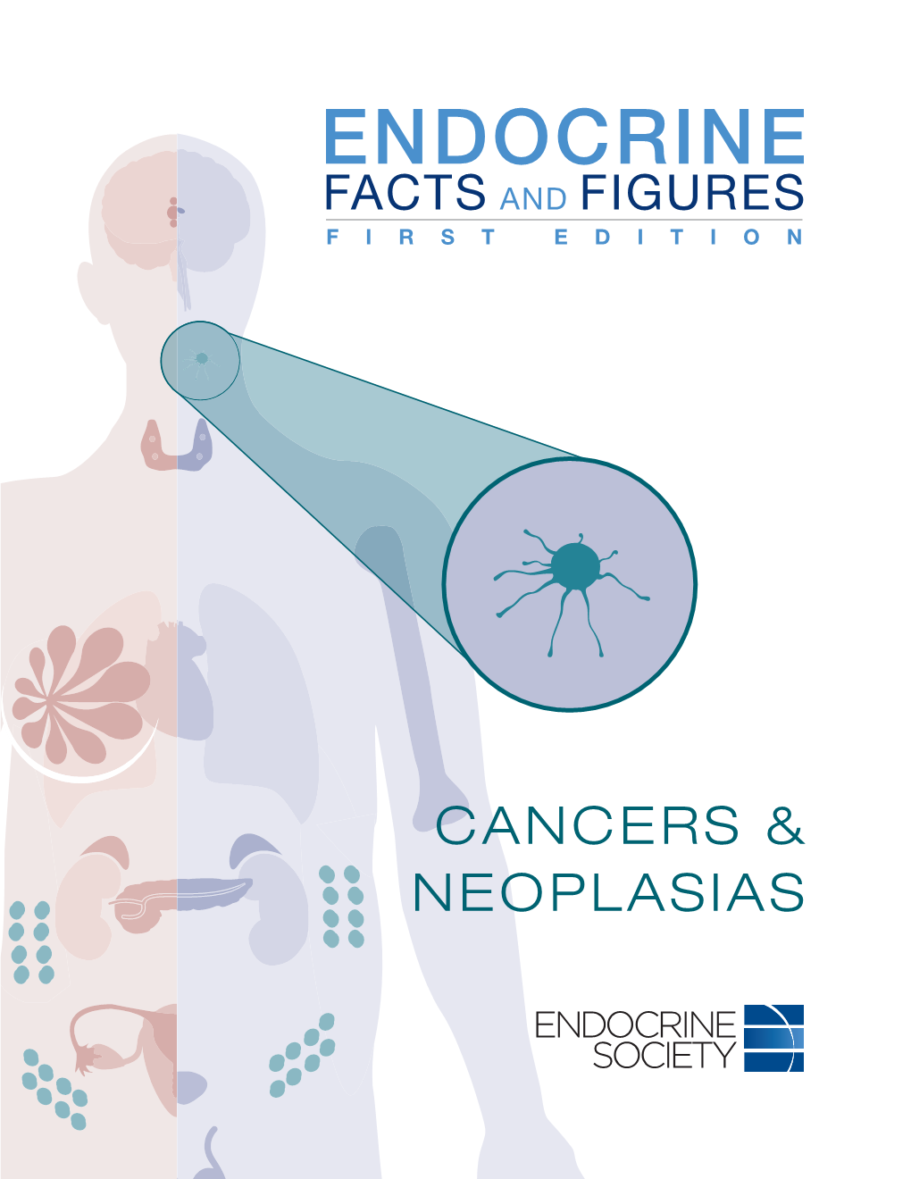 Cancers & Neoplasias