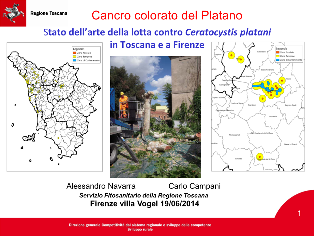 Diffusione Del Cancro Colorato Del Platano