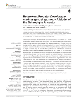 Heterokont Predator Develorapax Marinus Gen. Et Sp. Nov. – a Model of the Ochrophyte Ancestor