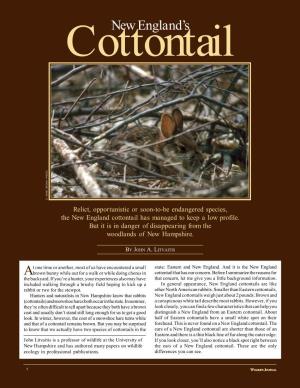 Cottontail Story For