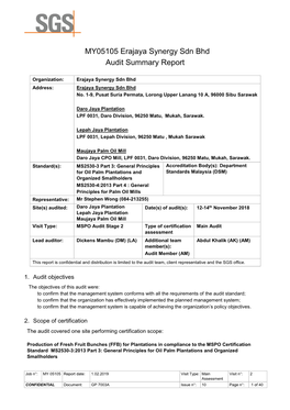 MY05105 Erajaya Synergy Sdn Bhd Audit Summary Report