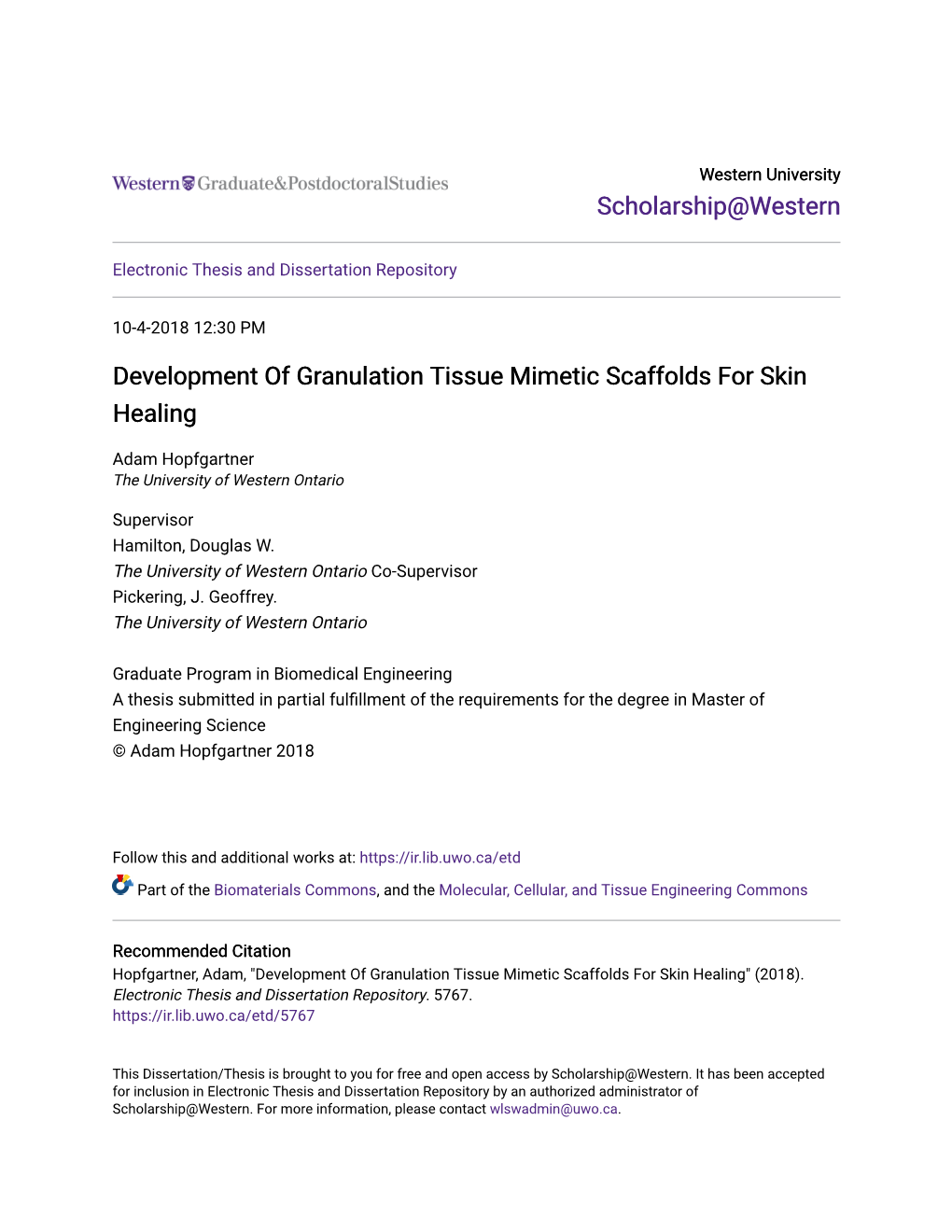 Development of Granulation Tissue Mimetic Scaffolds for Skin Healing