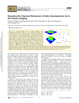 Revealing the Chemical Mechanism of Nao2 Decomposition by in Situ Raman Imaging