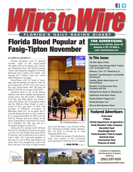 Florida Blood Popular at Fasig-Tipton November