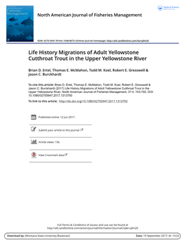 Life History Migrations of Adult Yellowstone Cutthroat Trout in the Upper Yellowstone River