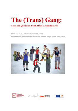 The (Trans) Gang: Notes and Queries on Youth Street Group Research