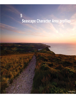North Devon and Exmoor Seascape Character Assessment 36 November 2015