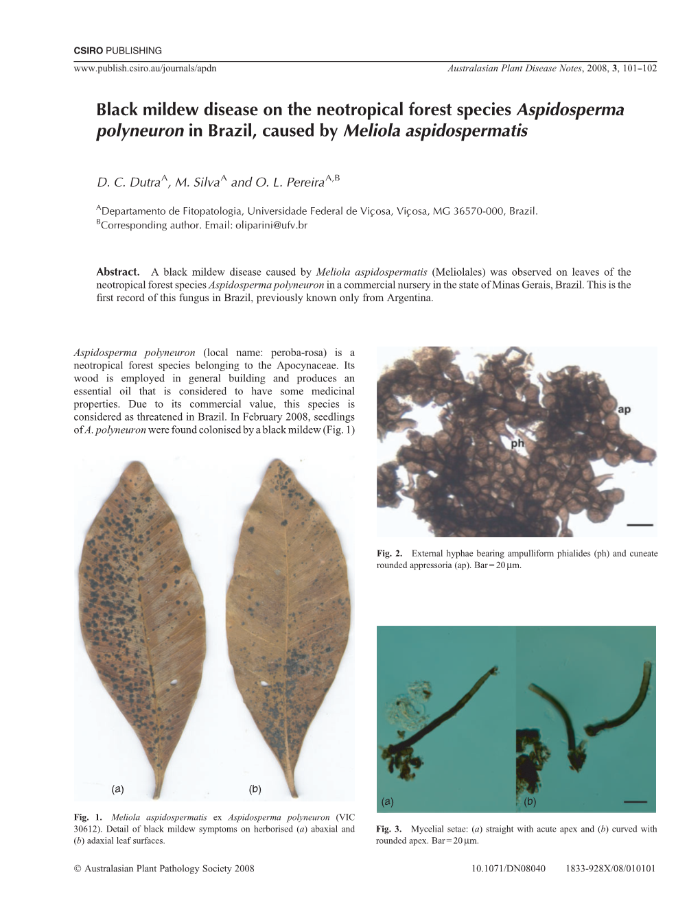 Black Mildew Disease on the Neotropical Forest Species Aspidosperma Polyneuron in Brazil, Caused by Meliola Aspidospermatis