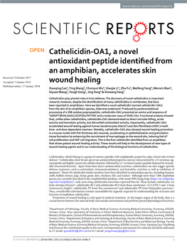 Cathelicidin-OA1, a Novel Antioxidant Peptide Identified from An
