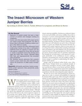 The Insect Microcosm of Western Juniper Berries by Lindsay A