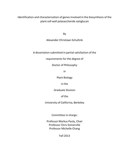 Identification and Characterization of Genes Involved in the Biosynthesis of the Plant Cell Wall Polysaccharide Xyloglucan by Al