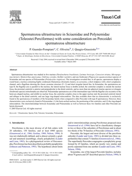 Spermatozoa Ultrastructure in Sciaenidae and Polynemidae (Teleostei:Perciformes) with Some Consideration on Percoidei Spermatozoa Ultrastructure