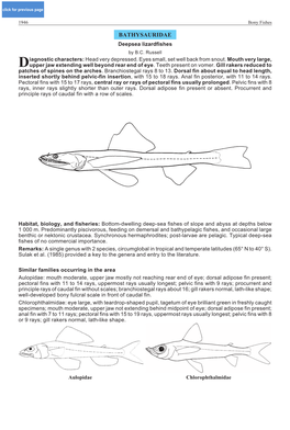 Bathysauridae BATHYSAURIDAE Deepsea Lizardfishes by B.C