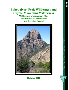 Baboquivari Peak Wilderness and Coyote Mountains Wilderness Wilderness Management Plan Environmental Assessment and Decision Record