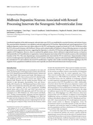 Midbrain Dopamine Neurons Associated with Reward Processing Innervate the Neurogenic Subventricular Zone