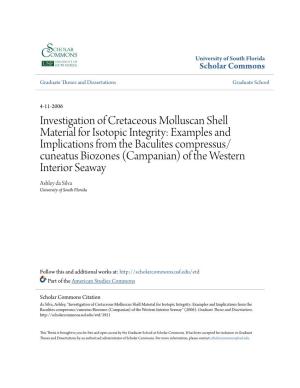 Investigation of Cretaceous Molluscan Shell