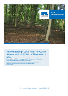 RBWM Borough Local Plan