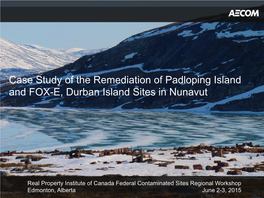 Case Study of the Remediation of Padloping Island and FOX-E, Durban Island Sites in Nunavut